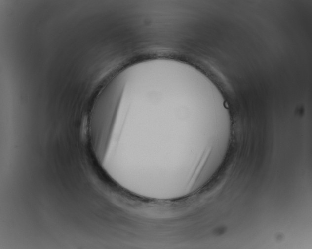 X0000094200024200711241647