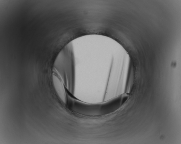 X0000094200025200711241647