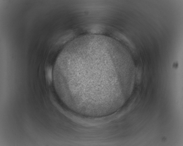 X0000094200028200711241647