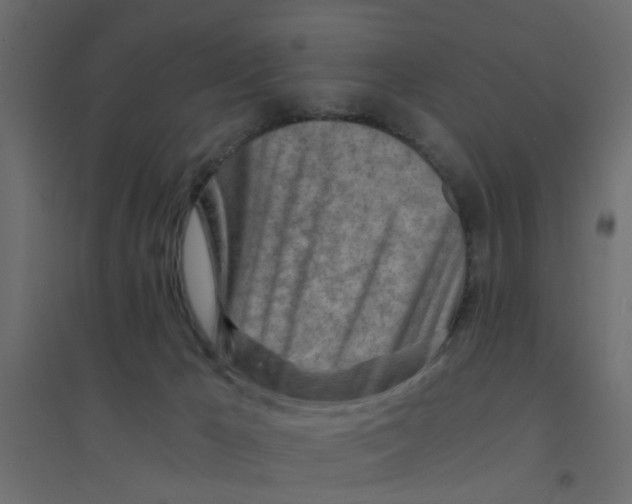 X0000094200029200711241647