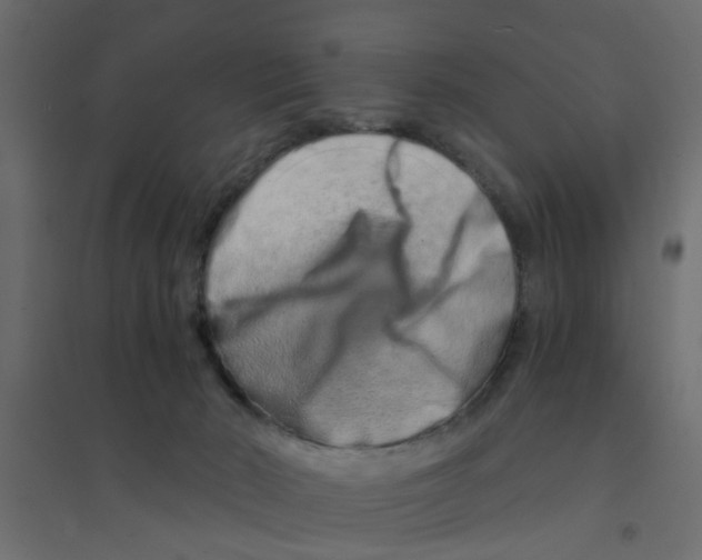 X0000094200030200711241647