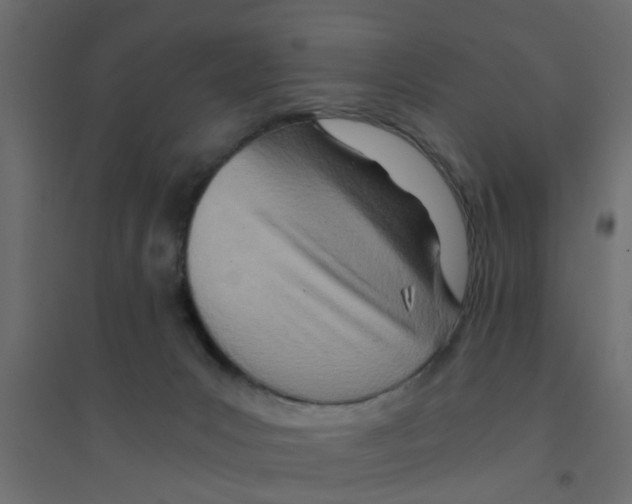 X0000094200031200711241647