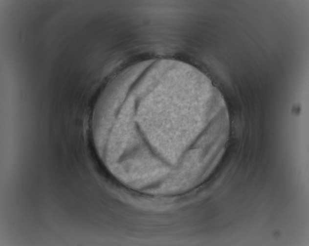 X0000094200032200711241647