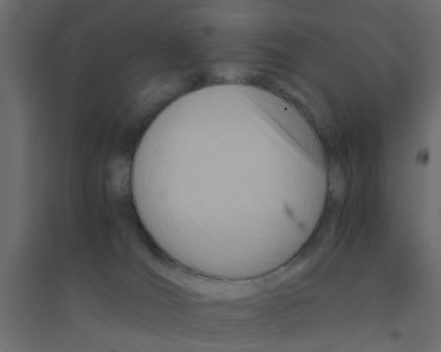 X0000094200036200711241647
