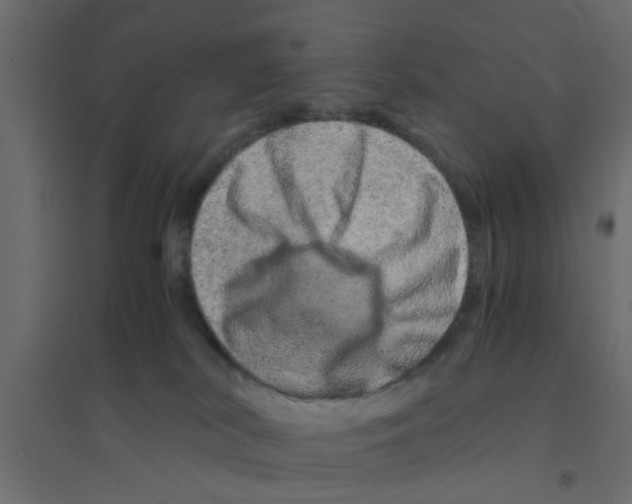 X0000094200038200711241647
