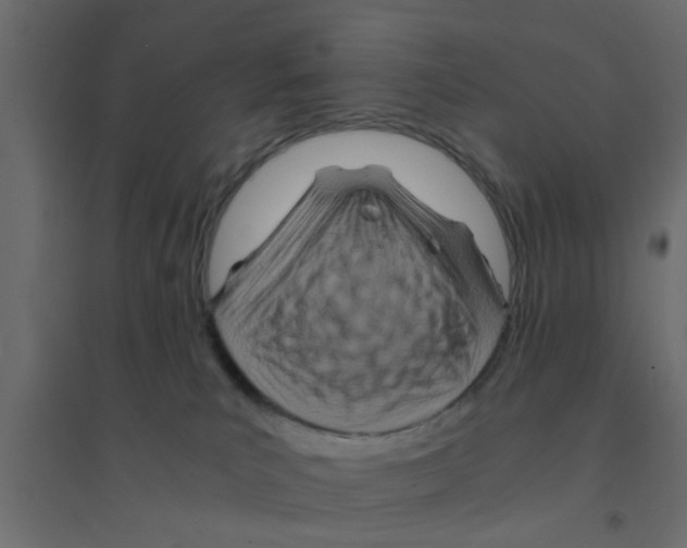 X0000094200039200711241647