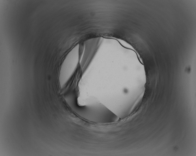 X0000094200041200711241647