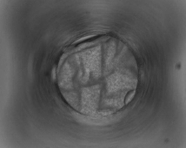 X0000094200042200711241647