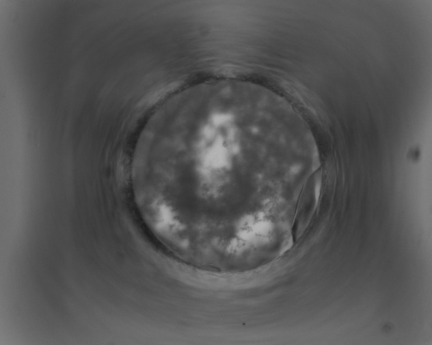 X0000094200043200711241647