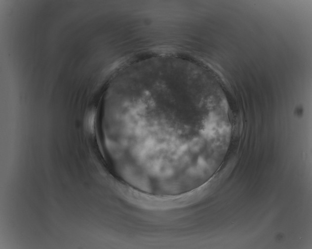 X0000094200047200711241647