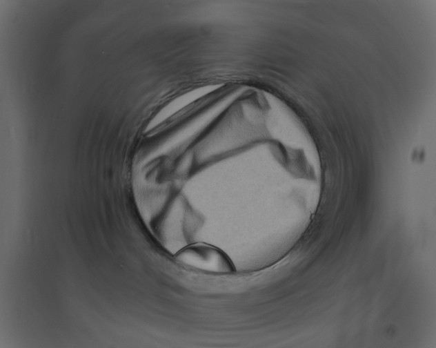 X0000094200048200711241647