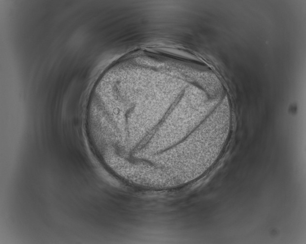 X0000094200049200711241646