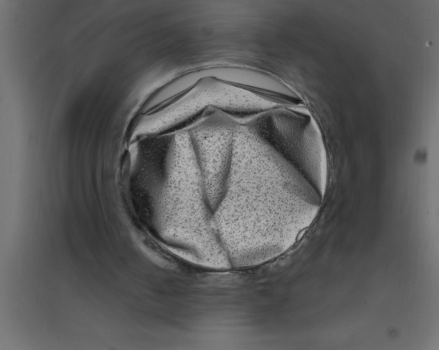 X0000094200050200711241646