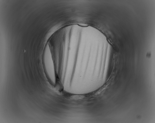 X0000094200051200711241646