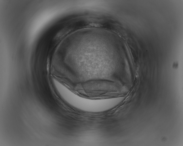 X0000094200052200711241646