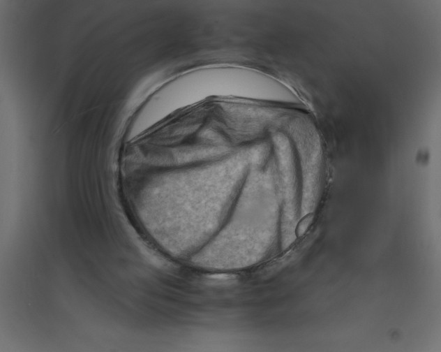 X0000094200053200711241646