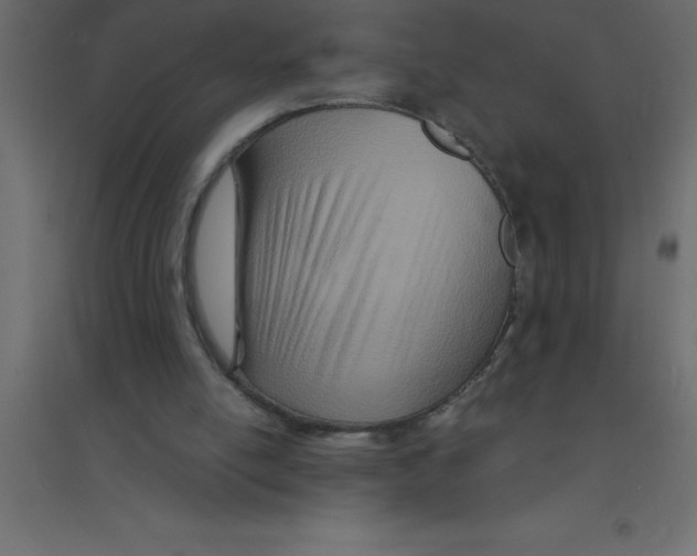 X0000094200054200711241646