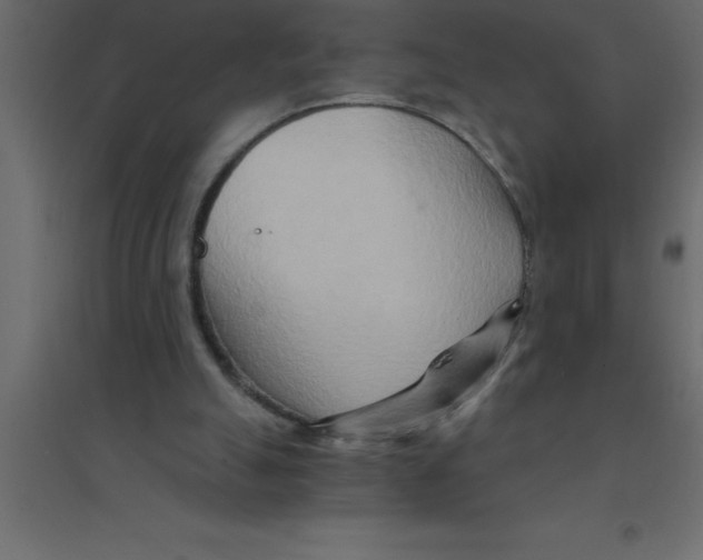 X0000094200055200711241646