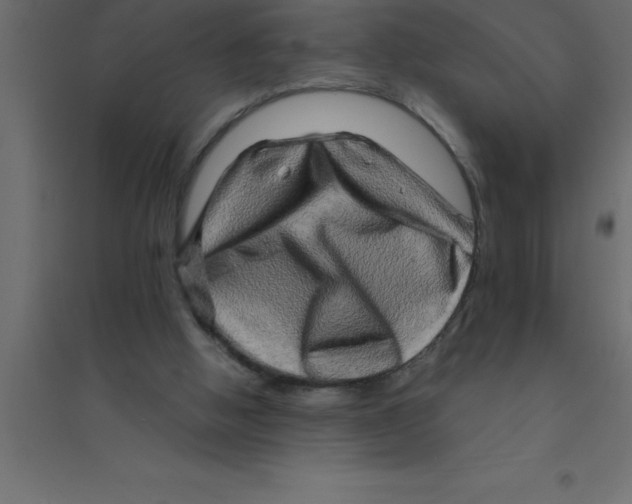 X0000094200058200711241646