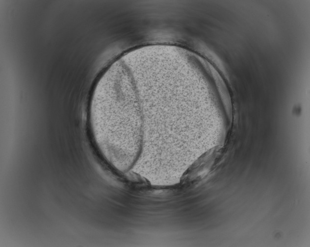 X0000094200059200711241646