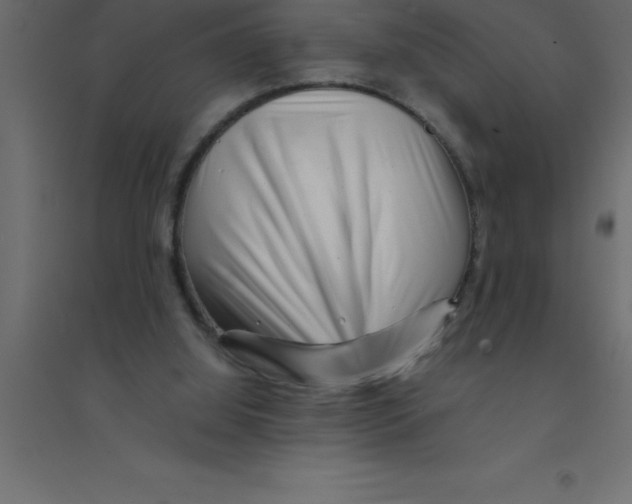 X0000094200060200711241646