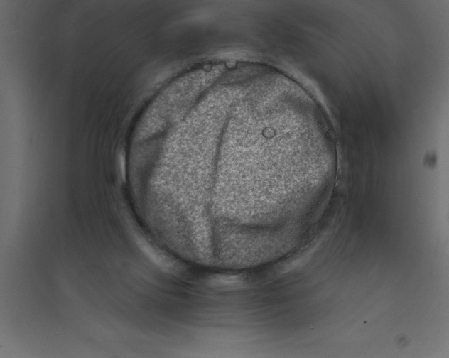 X0000094200061200711241646