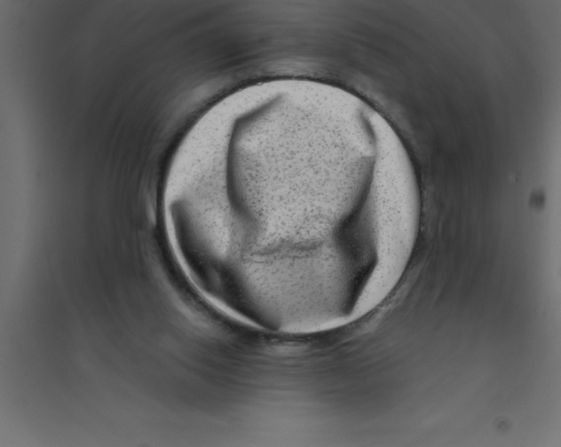 X0000094200062200711241646