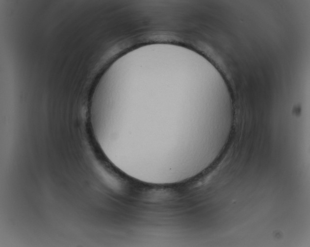 X0000094200063200711241646