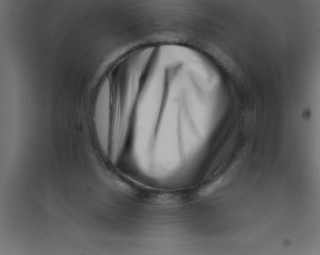 X0000094200064200711241646