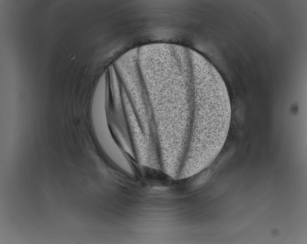 X0000094200066200711241646