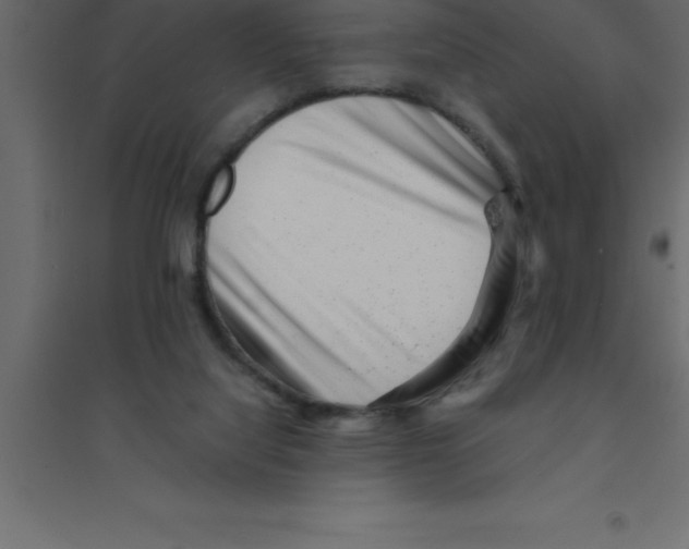 X0000094200068200711241646