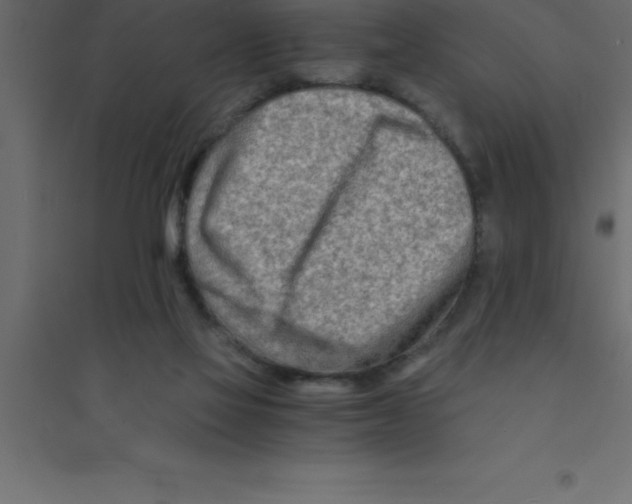 X0000094200069200711241646