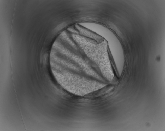 X0000094200071200711241647