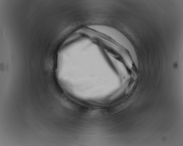 X0000094200072200711241647