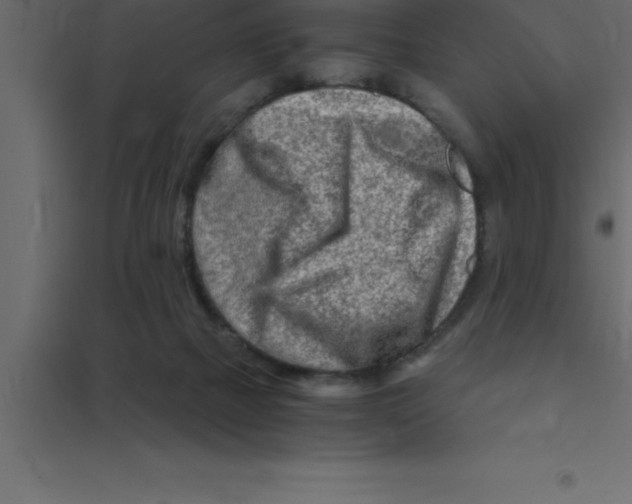 X0000094200073200711241647
