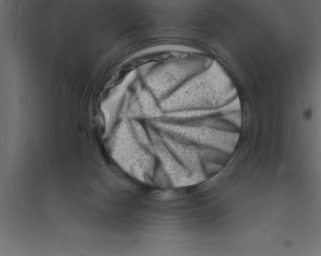 X0000094200074200711241647