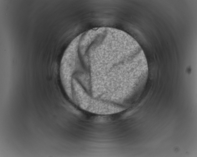X0000094200077200711241647