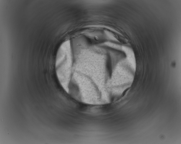 X0000094200078200711241647