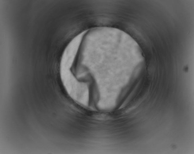X0000094200079200711241647