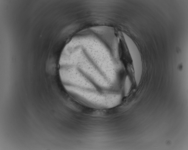X0000094200080200711241647