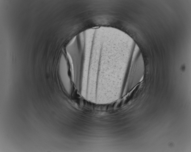 X0000094200081200711241647