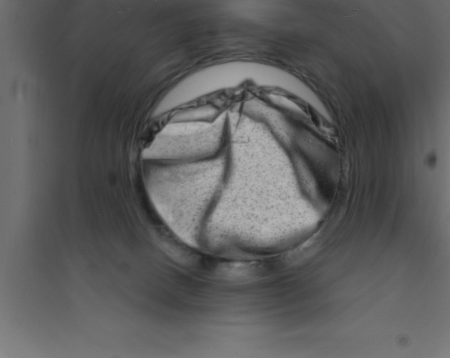 X0000094200082200711241647