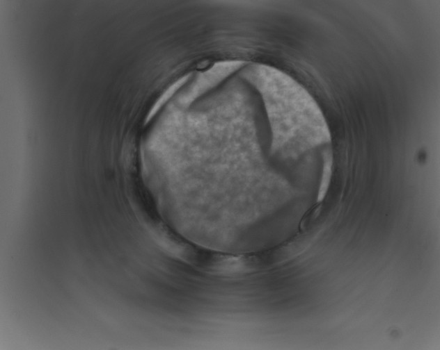 X0000094200083200711241647