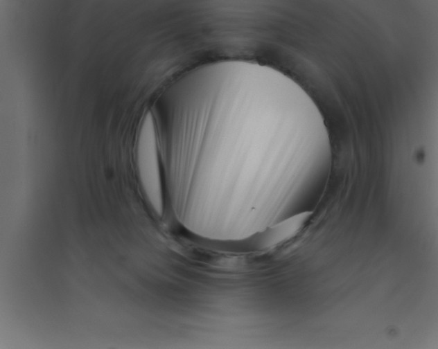 X0000094200084200711241647