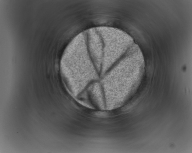 X0000094200085200711241647