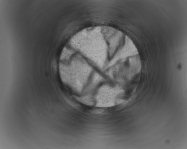 X0000094200086200711241647
