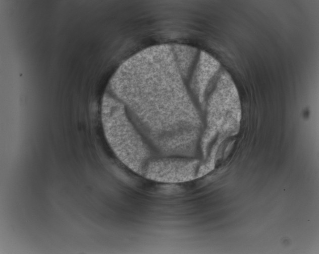 X0000094200087200711241647