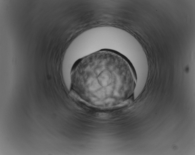 X0000094200088200711241647