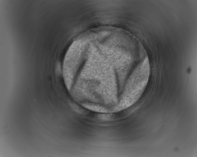 X0000094200089200711241647