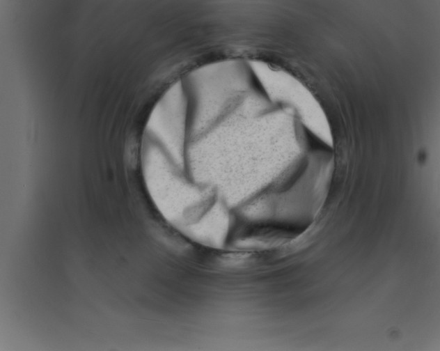 X0000094200090200711241647